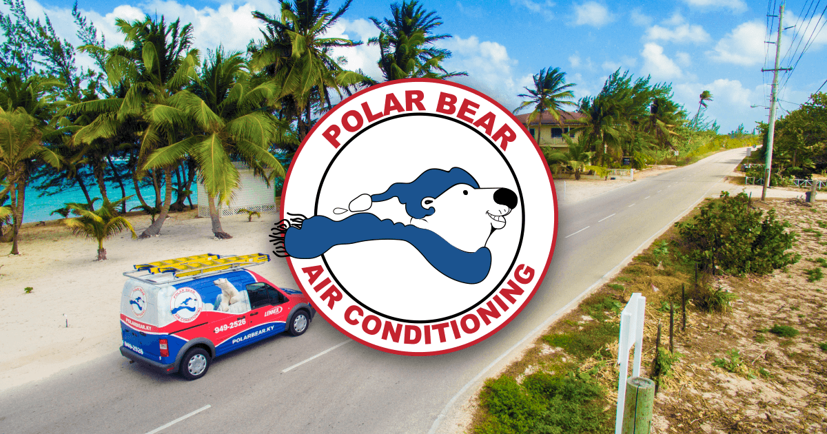 Polar Bear Air Conditioning | Residential and Commercial Cooling