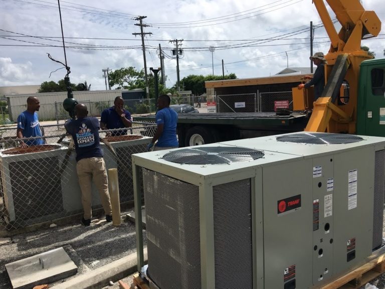Polar Bear Brings Comfort to Health Services Authority in the Cayman